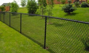 Chain Link Fence, Black Chain Link Fencing
