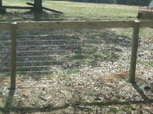Horse Pasture Fence 