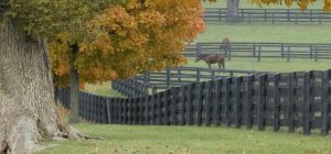 Horse Fence, Fence, Fence Installer, Fence Contractor, NC | SC